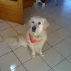 danielminich502 - @danielminich502 - TikTok