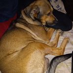 Daniel Mobley - Facebook