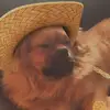 Daniel Moen - @danielmoen0 - TikTok