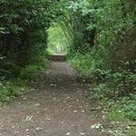 Daniel Monaghan - @danielmonaghan1 - Instagram