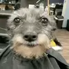 Daniel Monteagudo - @daalex1601 - TikTok