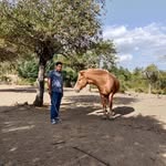 Daniel Montecino - @danielmontecino196 - Instagram