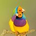 Daniel Montejo - Facebook