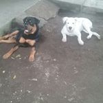 Daniel Monterroso - @monterroso1325 - Instagram