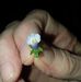 Daniel Montz - Facebook