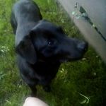 Daniel moorman - @daniel.moorman.420 - Instagram