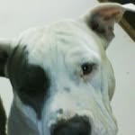 @moquindanielyahoo.comm - Instagram