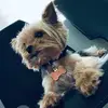 Daniel Moran - @daniel.moran320 - TikTok