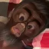 Daniel 🐀 - @danielmorantee - TikTok