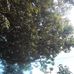 Daniel Morlio - Facebook