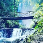 Daniel Morcomb - @danielmorcomb - Instagram