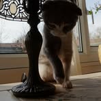 Danielle Morcom - Facebook