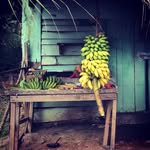 Daniel Moreau - @daniel_moreau_04 - Instagram