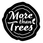 Daniel Seifried - @morethantrees_daniel_seifried - Instagram