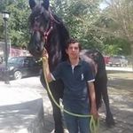 Daniel Morfin - @morfin8959 - Instagram