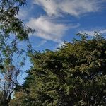 Gerardo Daniel morfin - @gera_mm_ - Instagram