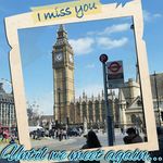 Daniel Morford - @morforddaniel - Instagram