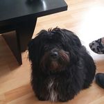 Daniel Morrissette - @morrissette.daniel - Instagram