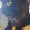 Daniel Morrissette - @daniel.morrissett7 - TikTok