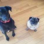 Daniel Peter Morrissey - @danielpetermorrissey - Instagram