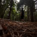Daniel Mower - @dannymower11 - Instagram