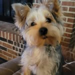 Daniel Mowery - @daniel.mowery.3950 - Instagram