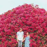 Daniel Muller - @dpmuller - Instagram