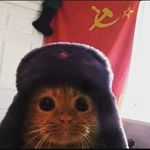 Daniel Munch - @daniel_munch_68 - Instagram