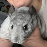 Daniel Munro - @gooberinio - Instagram