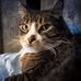 Daniel Munro - Facebook