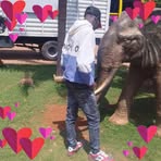 Daniel Muse - Facebook