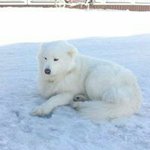 Daniell Musial - @daniel_musial - Instagram