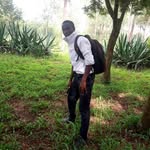 Daniel Mussa - @daniel.mussa.3363 - Instagram