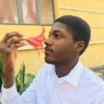 Daniel Mussengue Stin - @danielmussengue - Instagram