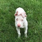 Austin Daniel Musser - @austin.musser56 - Instagram