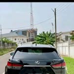 Daniel Mustapha - @iguana.158876 - Instagram