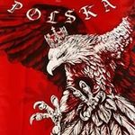 Daniel Muszynski - @danielmuszynski - Instagram
