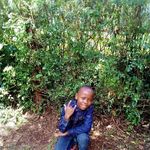 Daniel Mutai - @mutai8342 - Instagram