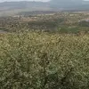 danielmutai78 - @danielmutai2 - TikTok