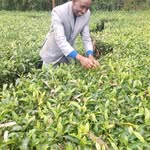 Daniel Muthama - @joydamic - Instagram