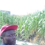 daniel muthama - @muthama1097 - Instagram