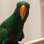Daniel Mutter - @dmuttley - Instagram