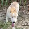 danielnava7939 - @danielnava7939 - TikTok