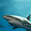 Daniel Naaba - @daniel.naaba8 - TikTok