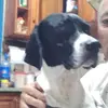 Daniel Nader - @daniel.nader2 - TikTok