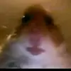Dàniel Nagy873 - @danielnagy57 - TikTok