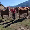 Daniel Nagy - @danielnagy.21 - TikTok