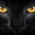 Daniel Nahabedian - Facebook