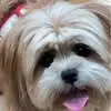 Daniel Nahum Gonzalez - @daniel.nahum.gonz - TikTok