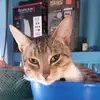 Daniel Naidu - @danielnaidu342 - TikTok